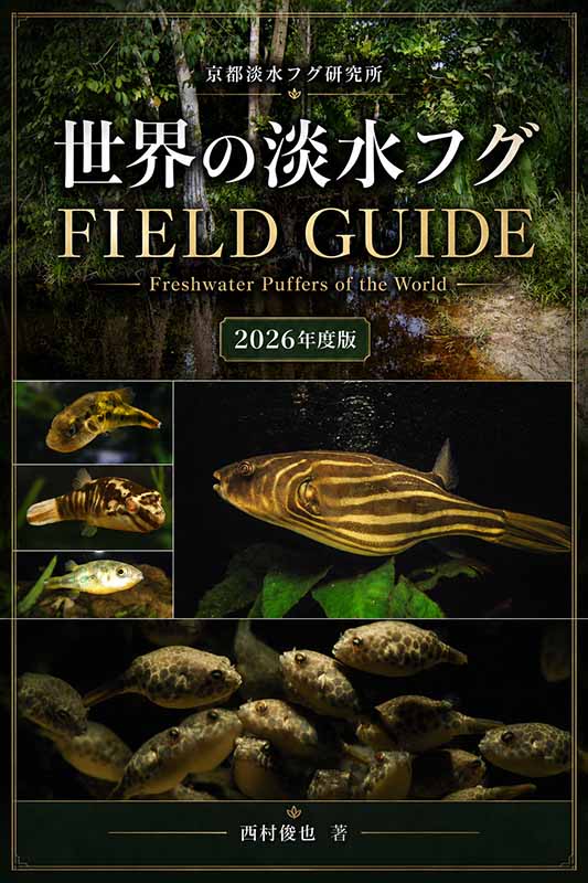 ���\��̔������E�W���t�OFIELD GUIDE�i�������݁j